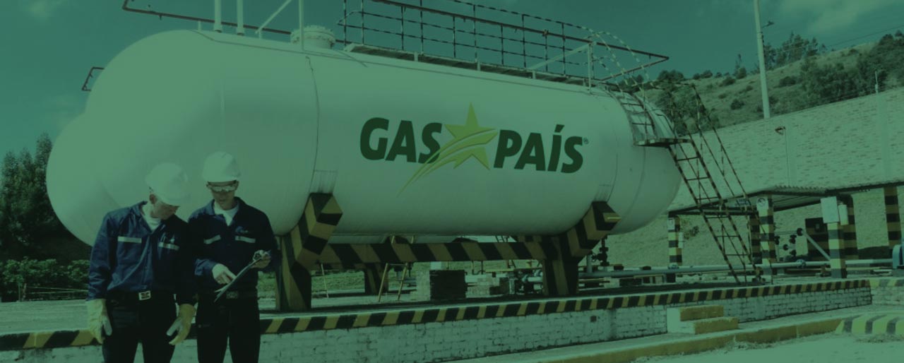 ¿Por qué los cambios en el precio del Gas Propano o GLP?
